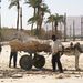 2007_egypttrip011